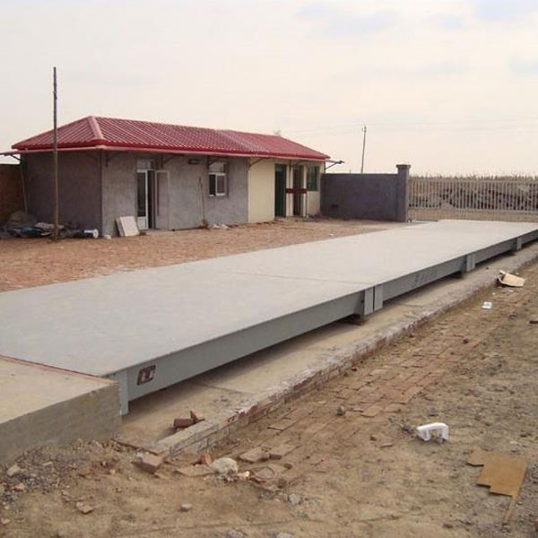 地磅有哪些品種呢